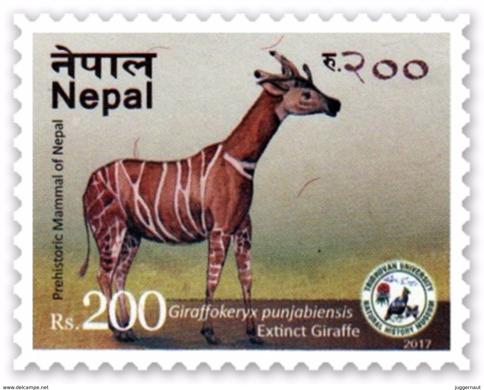 PREHISTORIC GIRAFFE Rs.200 ADHESIVE POSTAGE STAMP NEPAL 2017 MINT/MNH - Giraffen