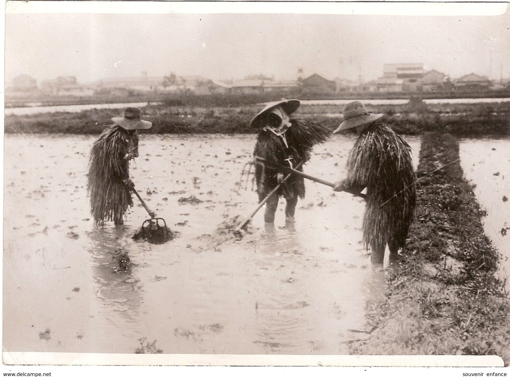 Photo Photographie Culture Du Riz Au Japon 1936 Agriculture Rizière Costumes - Mestieri