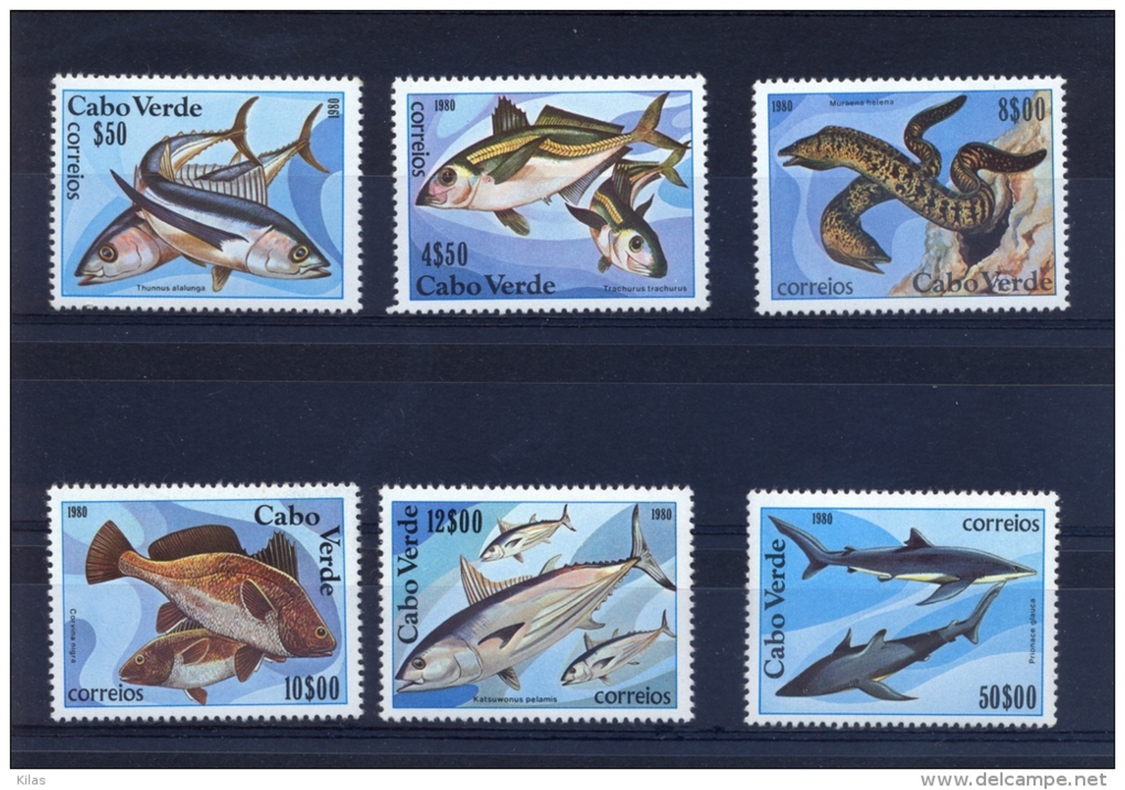 CAPE VERDE 1980 Fishes - Cap Vert