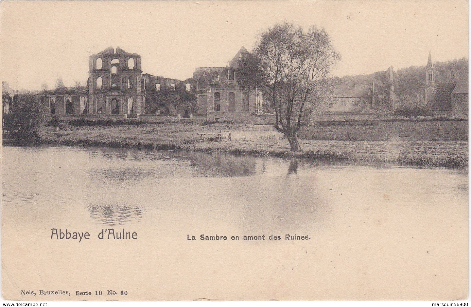 CPA BELGIQUE Gozée. Abbaye D'Aulne, La Sambre En Amont Des Ruines - Thuin