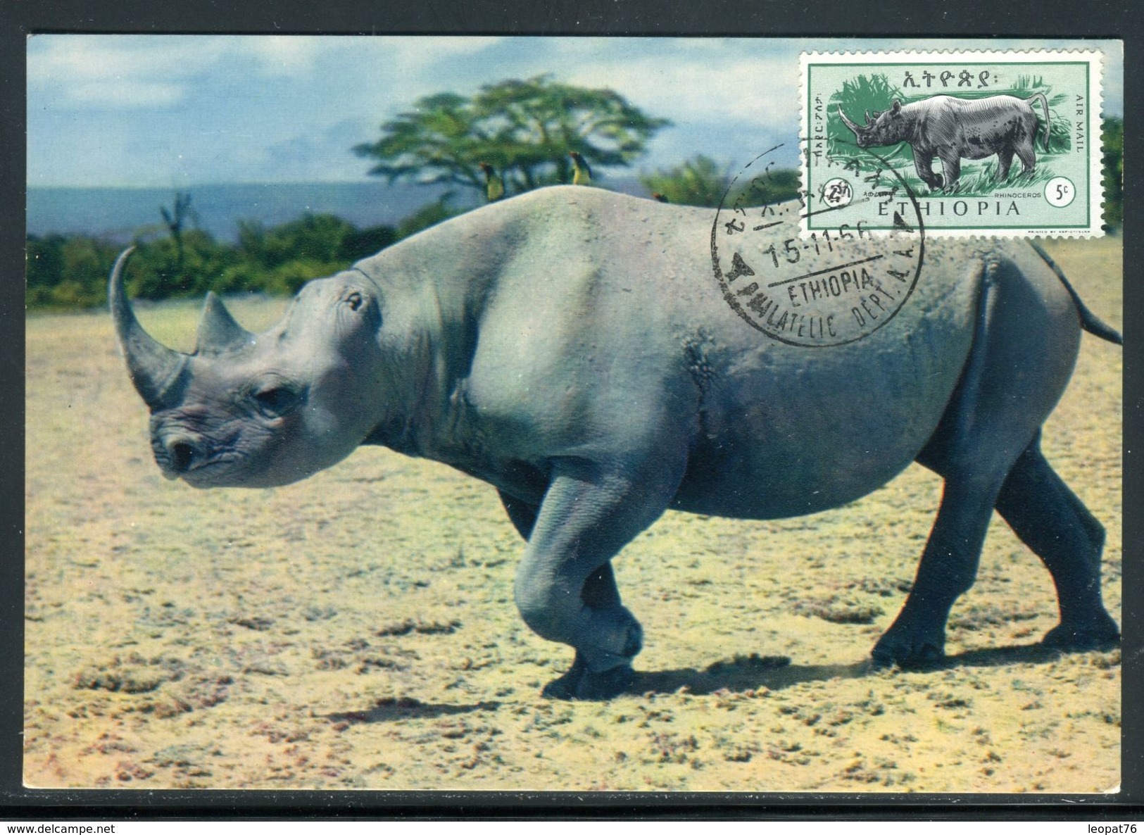 Ethiopie - Carte Maximum 1966 - Animaux - Le Rhinocéros - Ethiopia