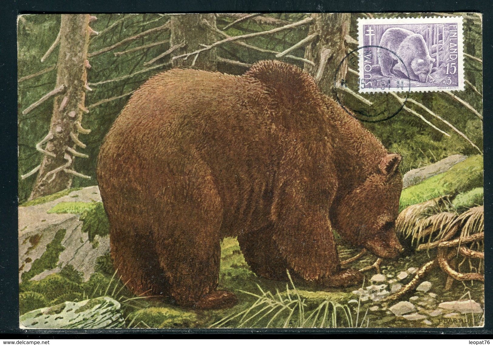 Finlande - Carte Maximum 1954 - Animaux - L' Ours - Maximumkaarten