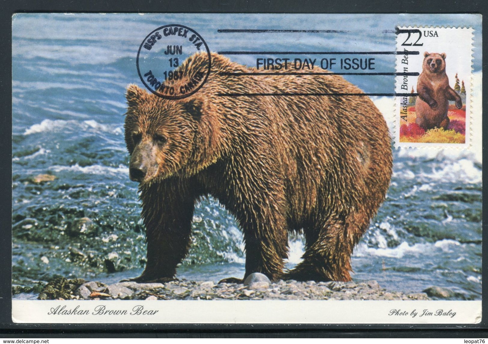 Etats Unis - Carte Maximum 1987 - Animaux - L' Ours - Maximumkarten (MC)