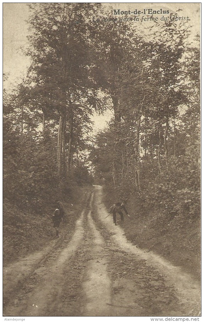 Kluisbergen Mont-de-l'Enclus La Route Vers La Ferme Du Christ - Kluisbergen