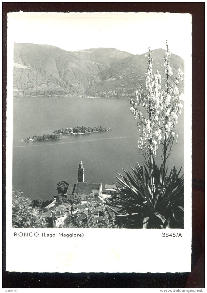 CPM Non écrite Suisse RONCO Lago Maggiore - Ronco Sopra Ascona