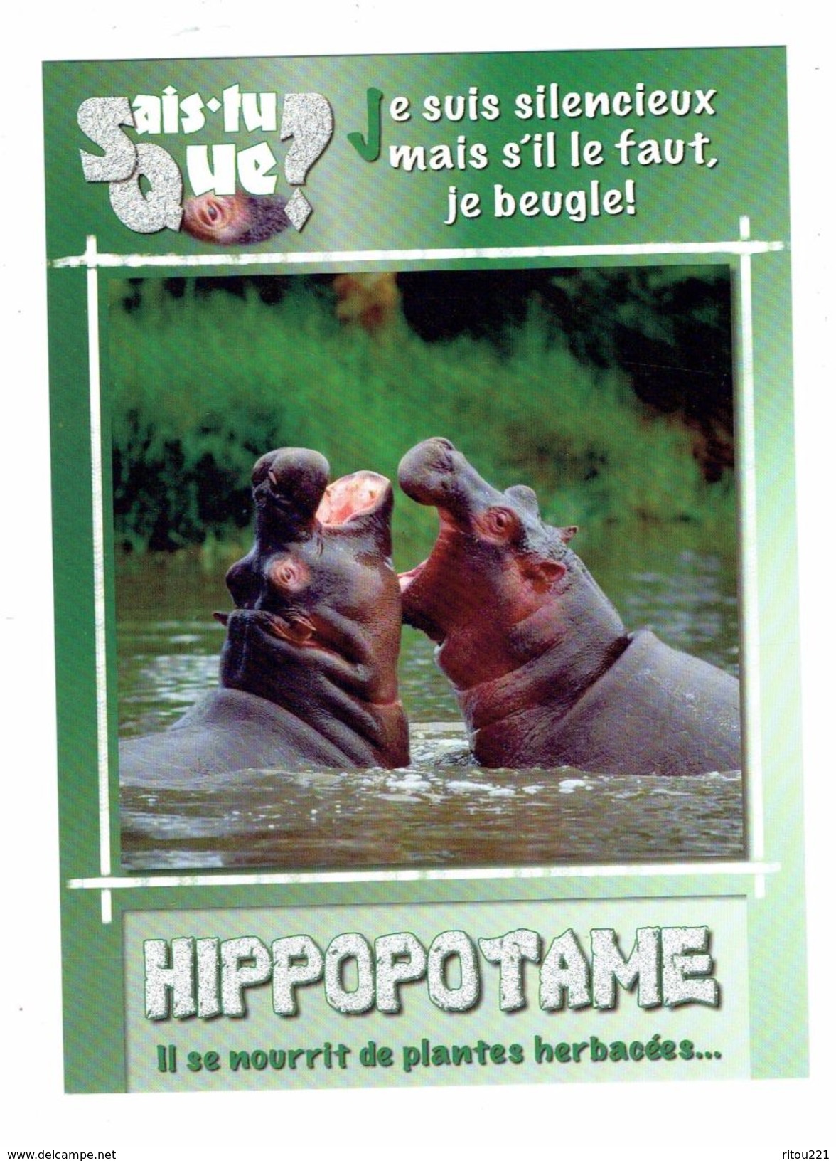 Cpm - Animaux - Hippopotame - Hippopotames - - Nijlpaarden