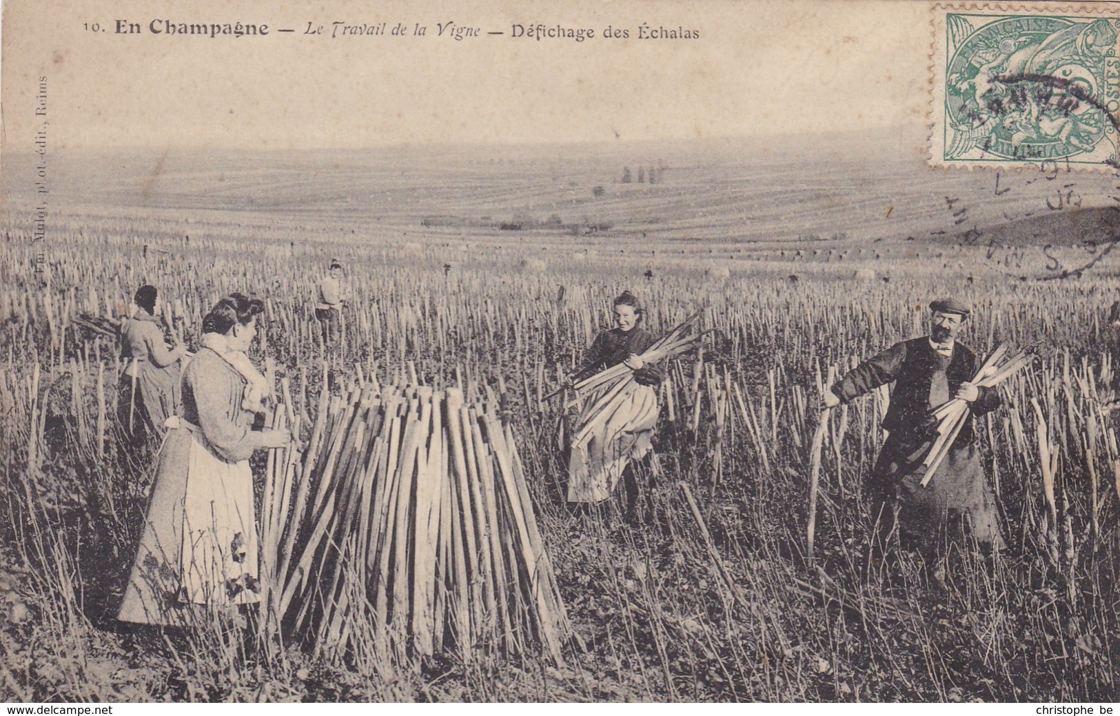 CPA, En Champagne, Le Travail De La Vigne, Défichage Des Echalas (pk39180) - Epernay