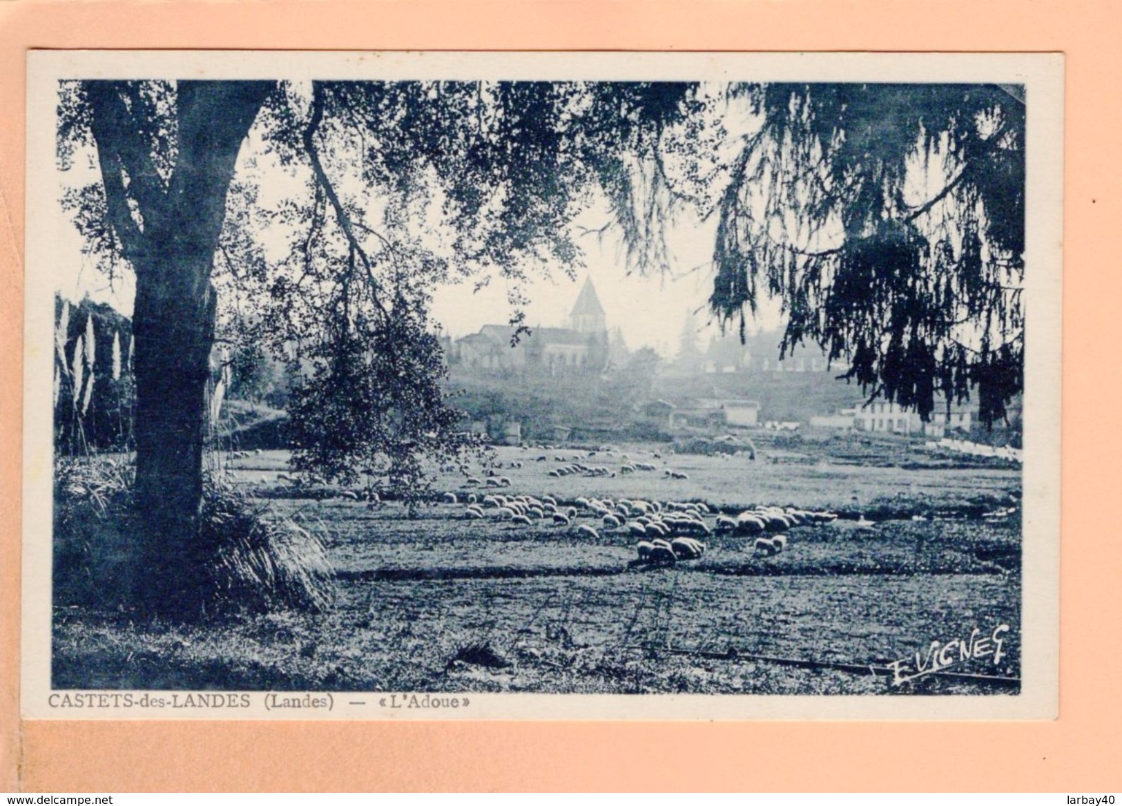 Cpa Cartes Postales Ancienne - Castets Des Landes L Adoue - Castets