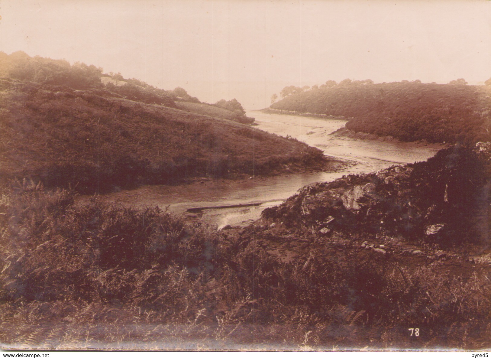 Photo D'une Rivière ? Non Localisée 16 Cm X 12 Cm - Lieux