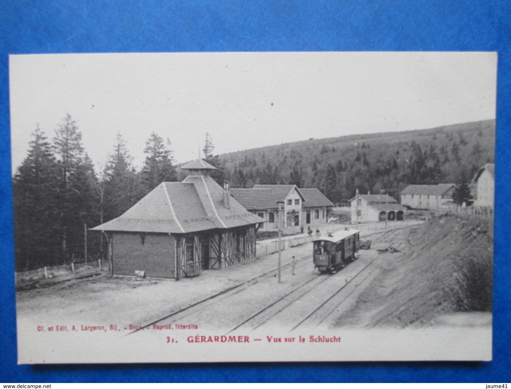 VOSGES   88   GERARDMER  -  TRAIN     -  VUE SUR LA SCHLUCHT    TTB - Gerardmer