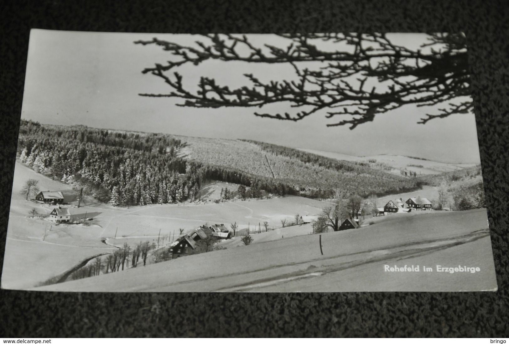 1946- Rehefeld Im Erzgebirge - Rehefeld