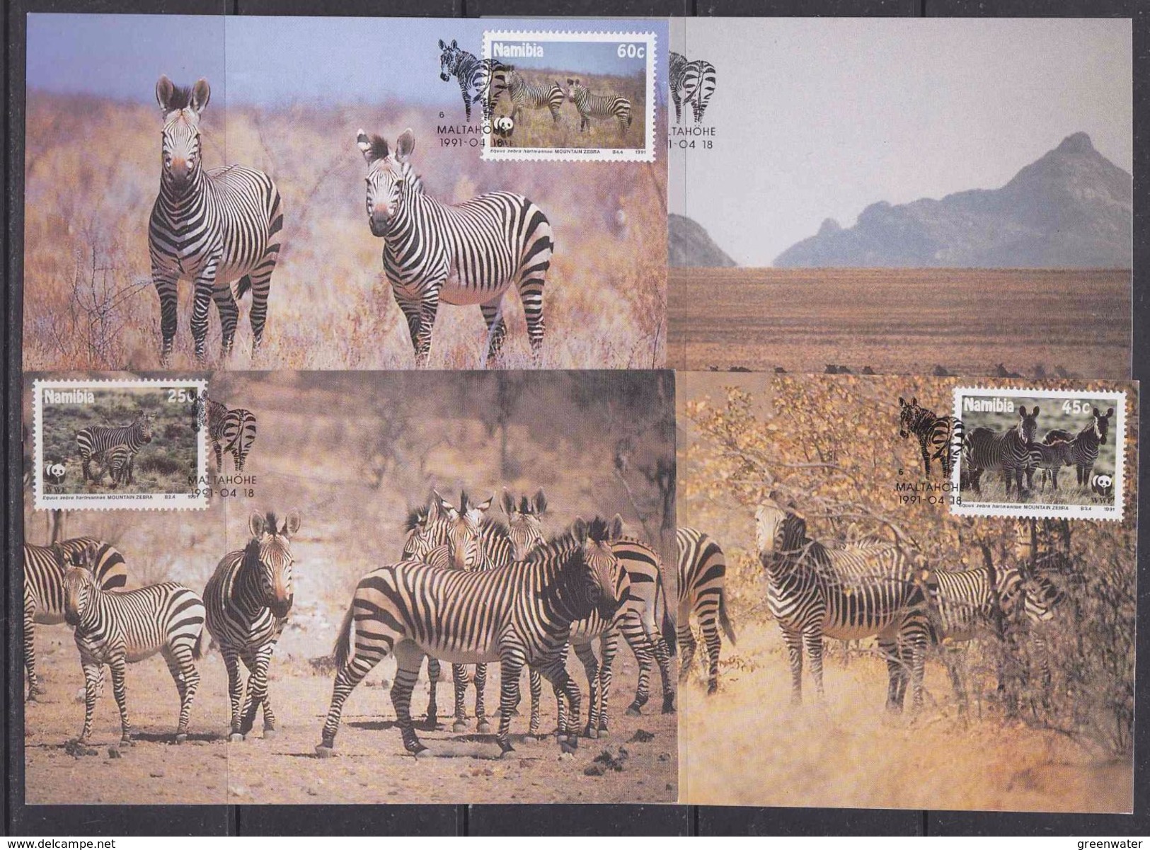 Namibia 1991 Zebra 4v 4 Maxicards (36887) - Namibia (1990- ...)
