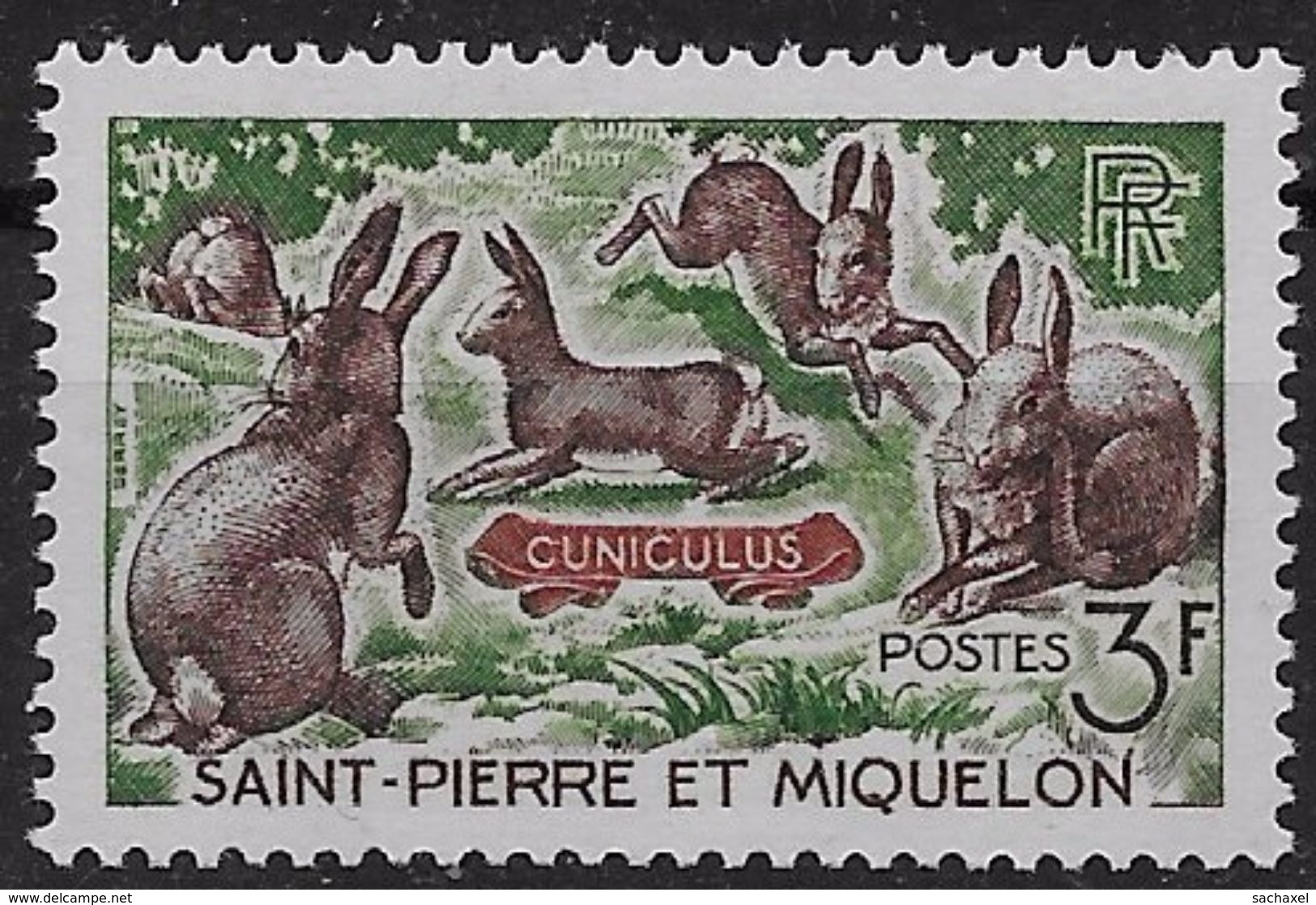 1964  Saint Pierre Et Miquelon  N° 372  Nf ** . MNH .  Lapins . - Neufs