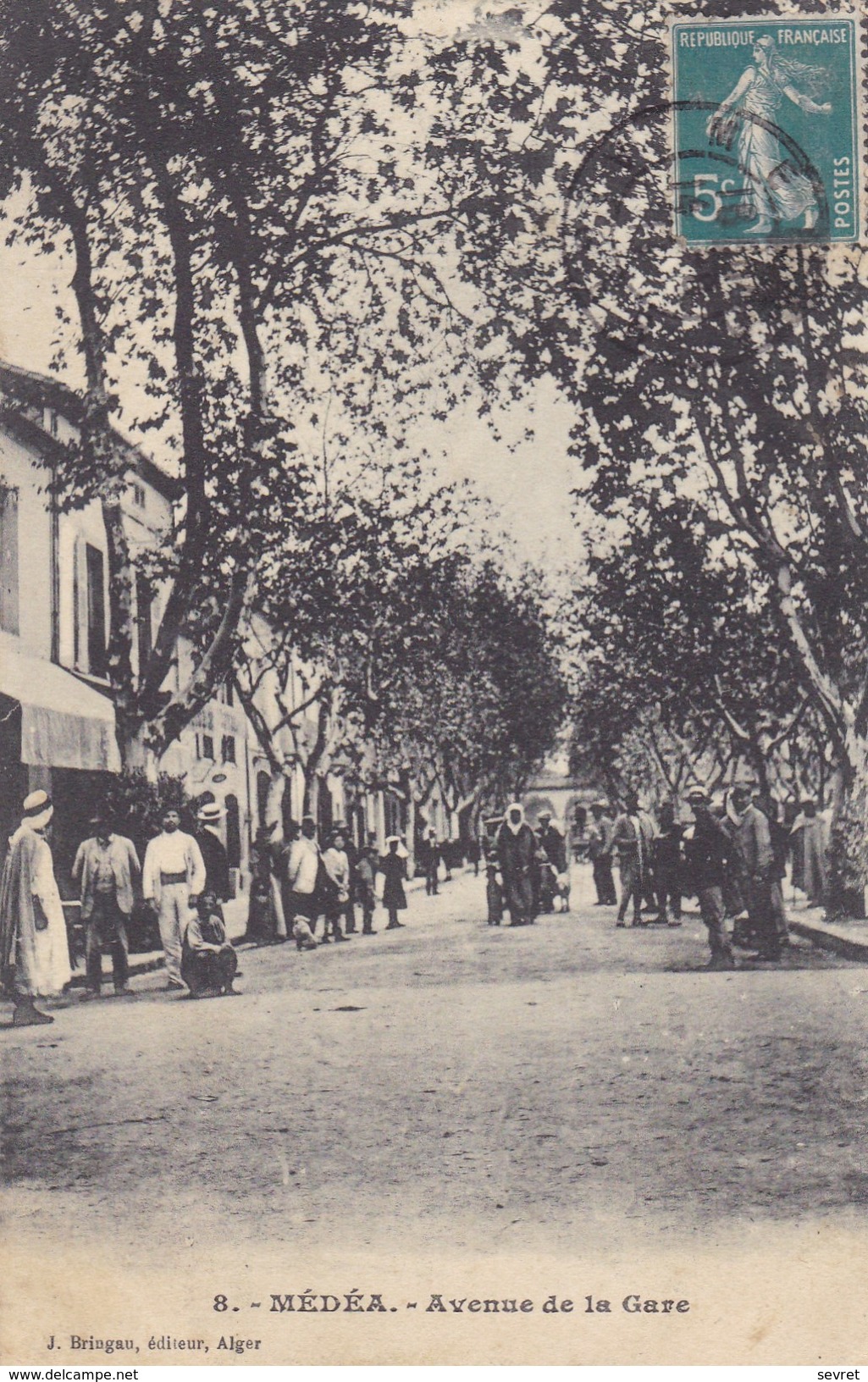 MEDEA - Avenue De La Gare. Carte Rare. - Médéa