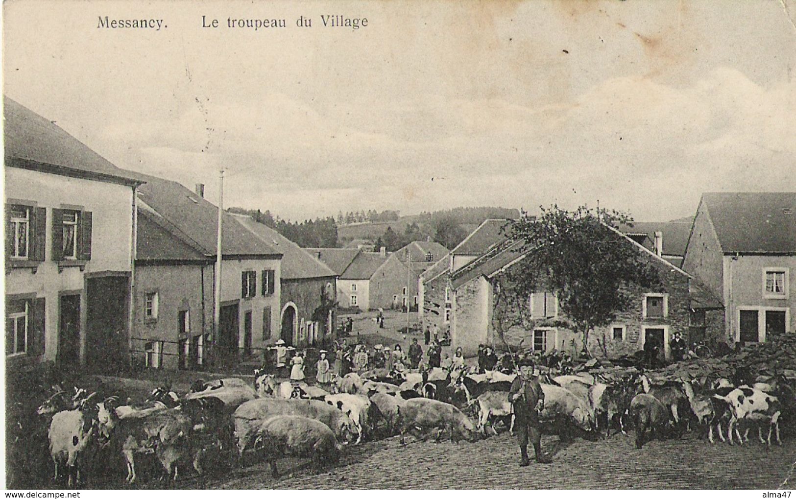 Messancy - Le Troupeau Du Village Animé - Cochons, Chèvres Et Gardien - Circulé Vers Allemagne 1915 Feldpost VOIR VERSO - Messancy