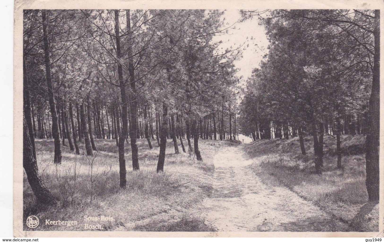 SOUS BOIS     BOSCH - Keerbergen