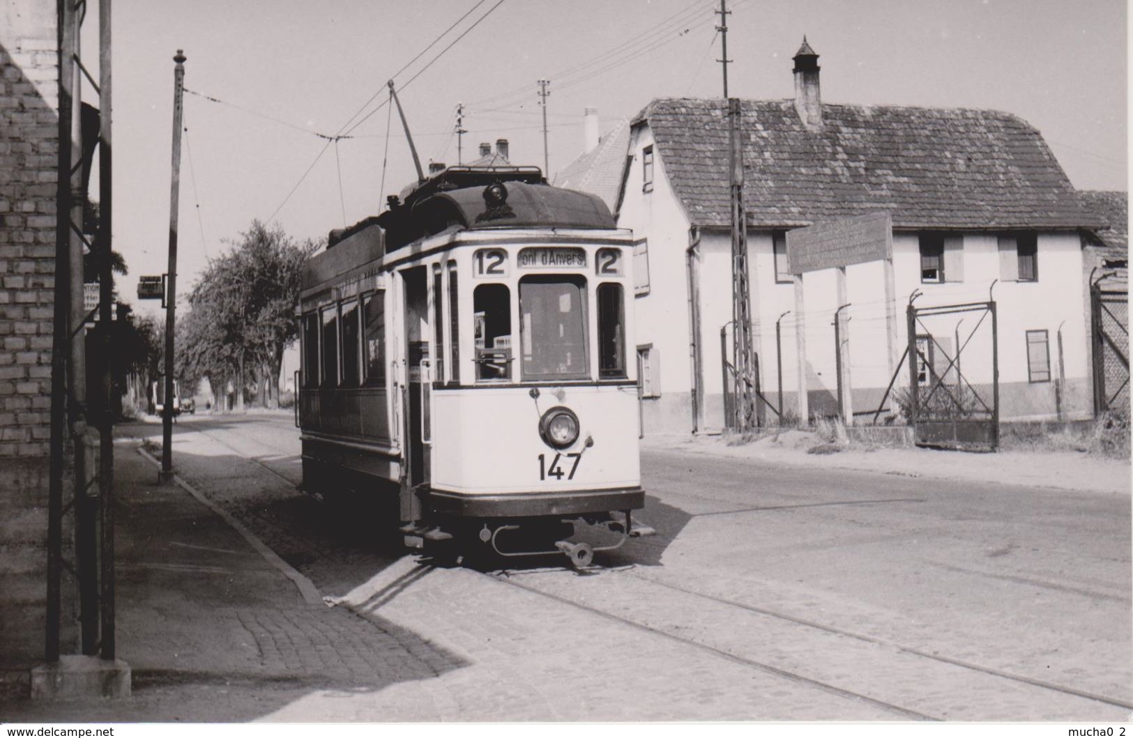 68 - WOLFISHEIM - TRAMWAY - 29.08.1955 - CARTE PHOTO - Autres & Non Classés