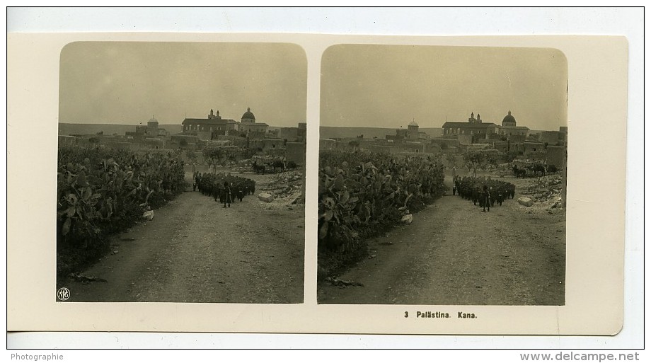 Moyen Orient Lilban Cana Al Galil Kana Ancienne Stereo Photo NPG 1900 - Stereoscopic