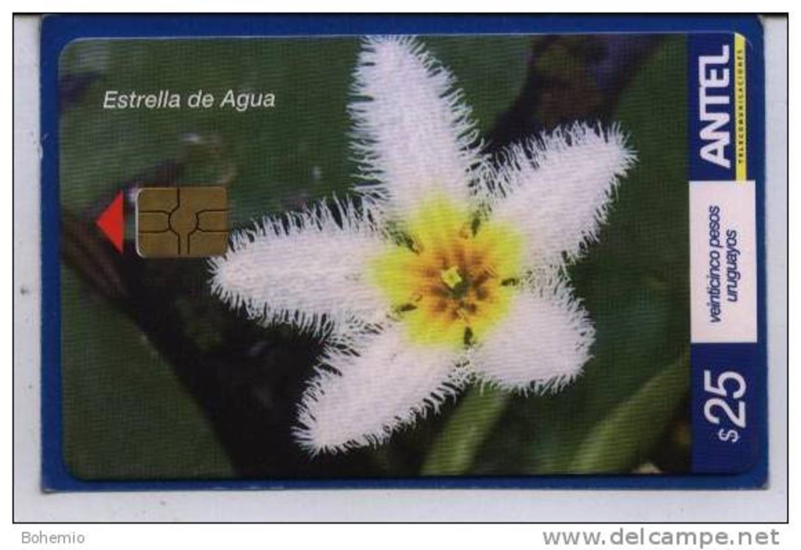 Uruguay TC472a Flores -Estrella De Agua- - Uruguay