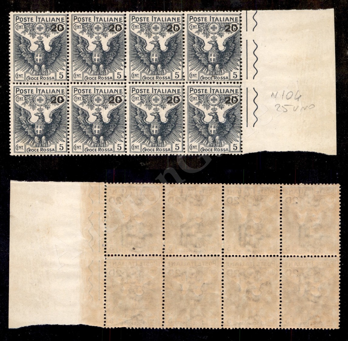 0166 1916 - 20 Cent Su 15 Croce Rossa (104) - Blocco Di Otto Bordo Di Foglio - Gomma Integra (500+) - Sonstige & Ohne Zuordnung
