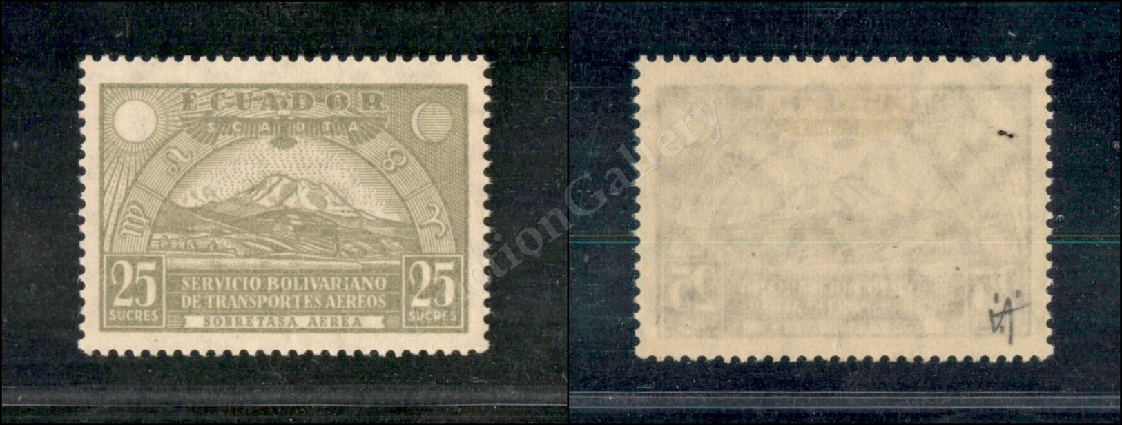 0665 Ecuador - 1929 - 25s Oliva P.Aerea (16) - Nuovo Con Gomma - Other & Unclassified