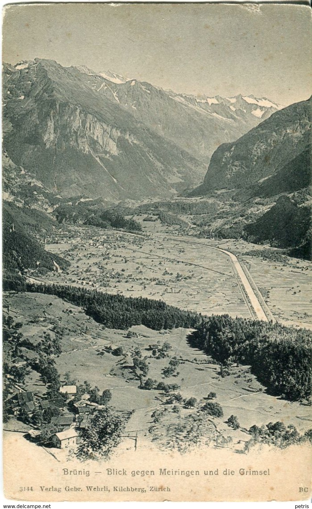 Brunig. Blick Gegen Meiringen Und Die Grimsel - Lot.1174 - Meiringen