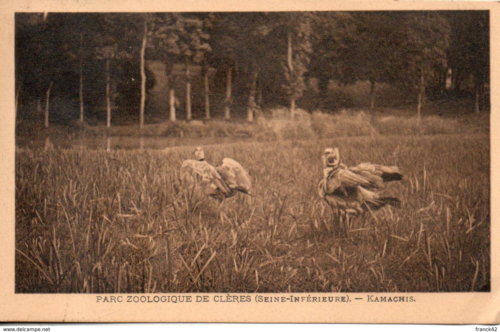76. Parc Zoologique De Clères. Kamachis - Clères