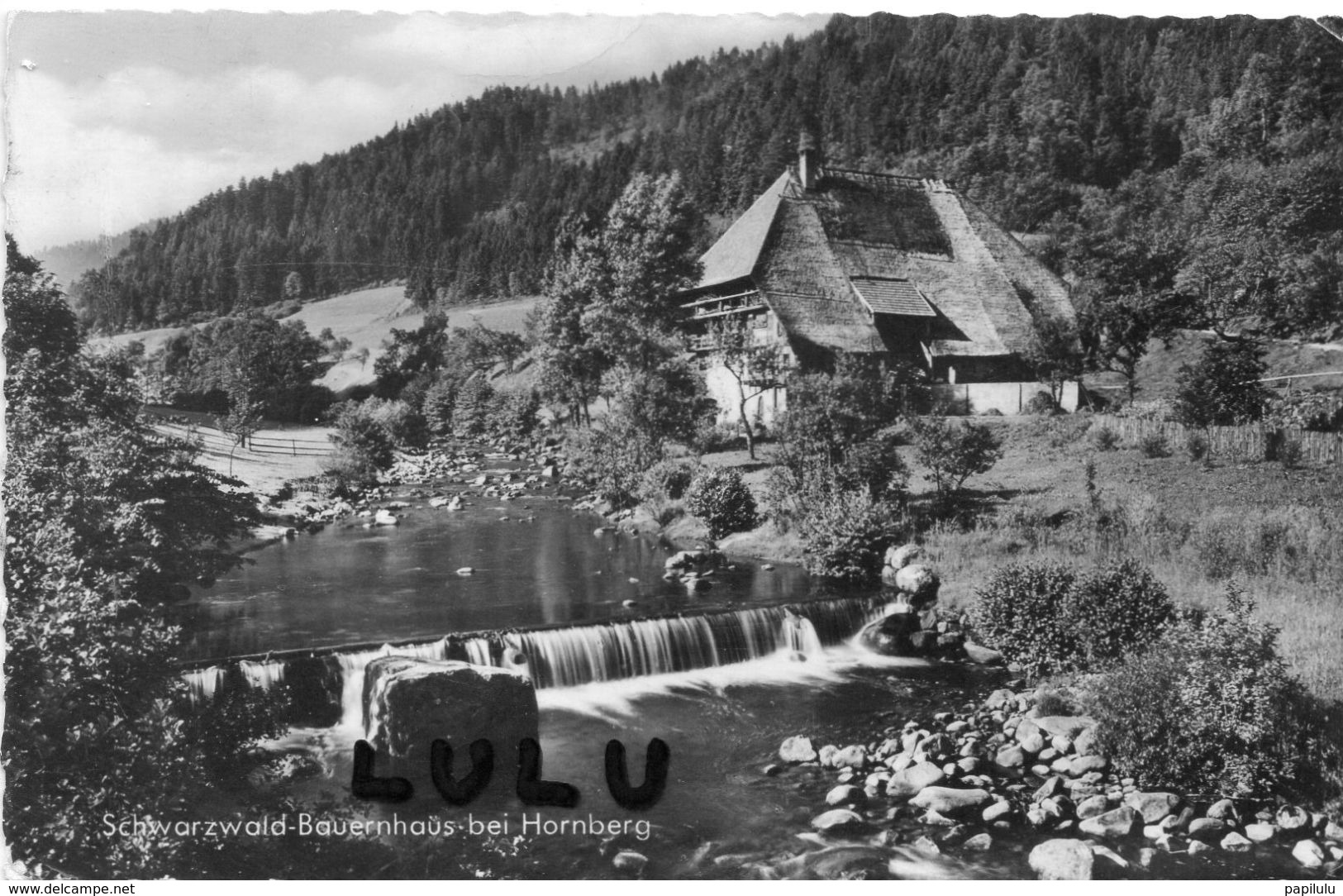 ALLEMAGNE : Schwarzwald Bauernhaus Bei Hornberg - Albstadt