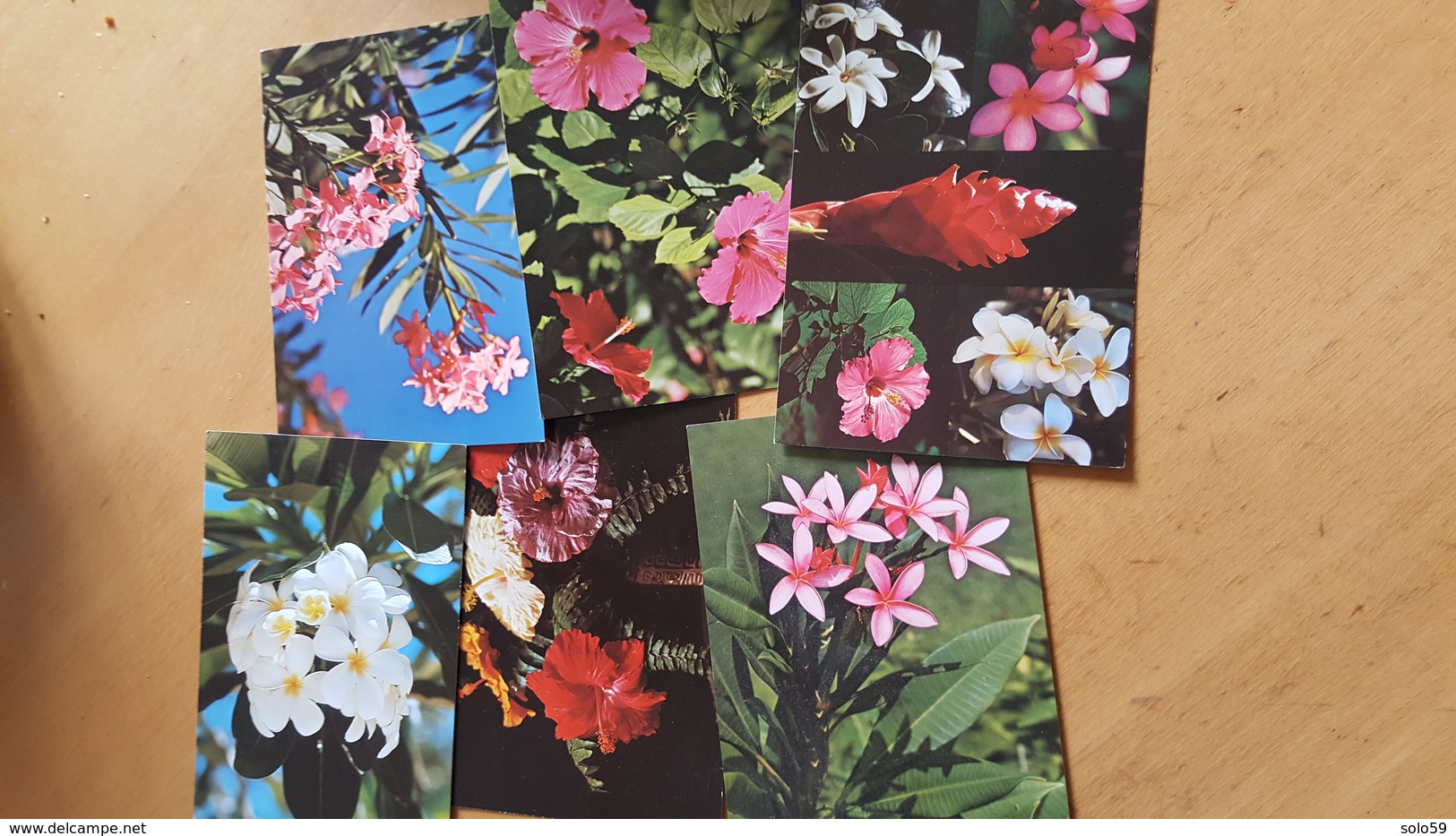 Lot De  6 Cartes Postales Neuves Années 70 Fleurs De Tahiti Très Bon état Dos Partagé - Polinesia Francesa