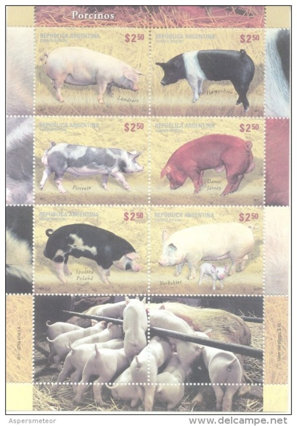 RAZAS PORCINAS CERDOS PIGS COCHONS GANADO PORCINO HOJITA BLOC AÑO 2011 MNH TBE - Blocks & Kleinbögen