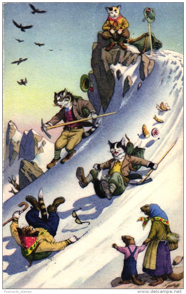 Katzen Beim Bergsteigen, Ca. 50er/60er Jahre - Katzen