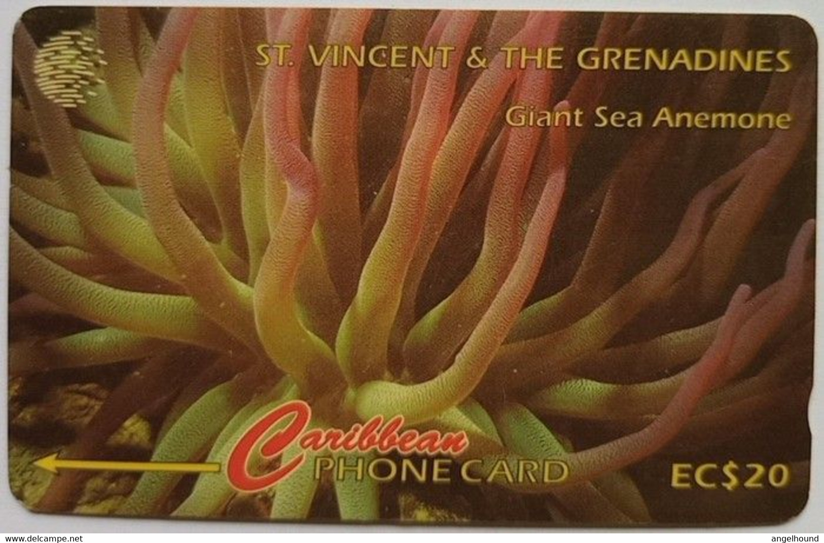 St. Vincent And Grenadines Cable And Wireless 101CSVB  EC$20 "Giant Sea Anemone " - St. Vincent & The Grenadines