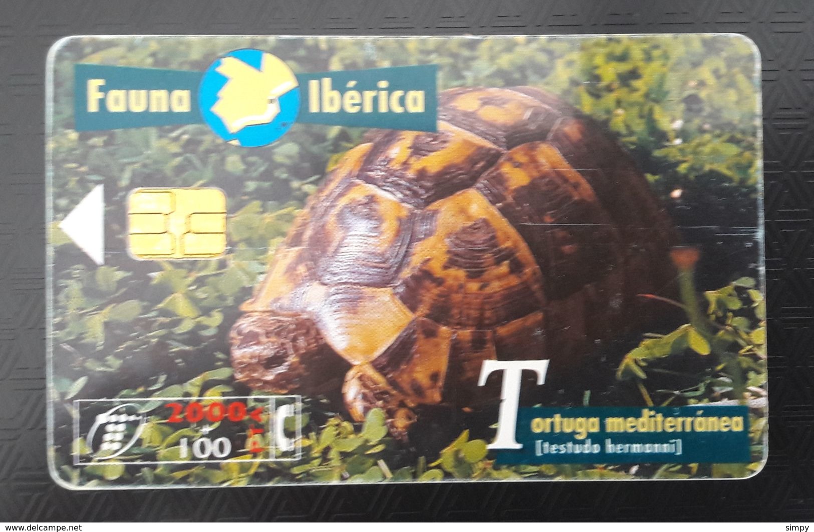SPAIN Turtles  Chip Phonecard - Turtles