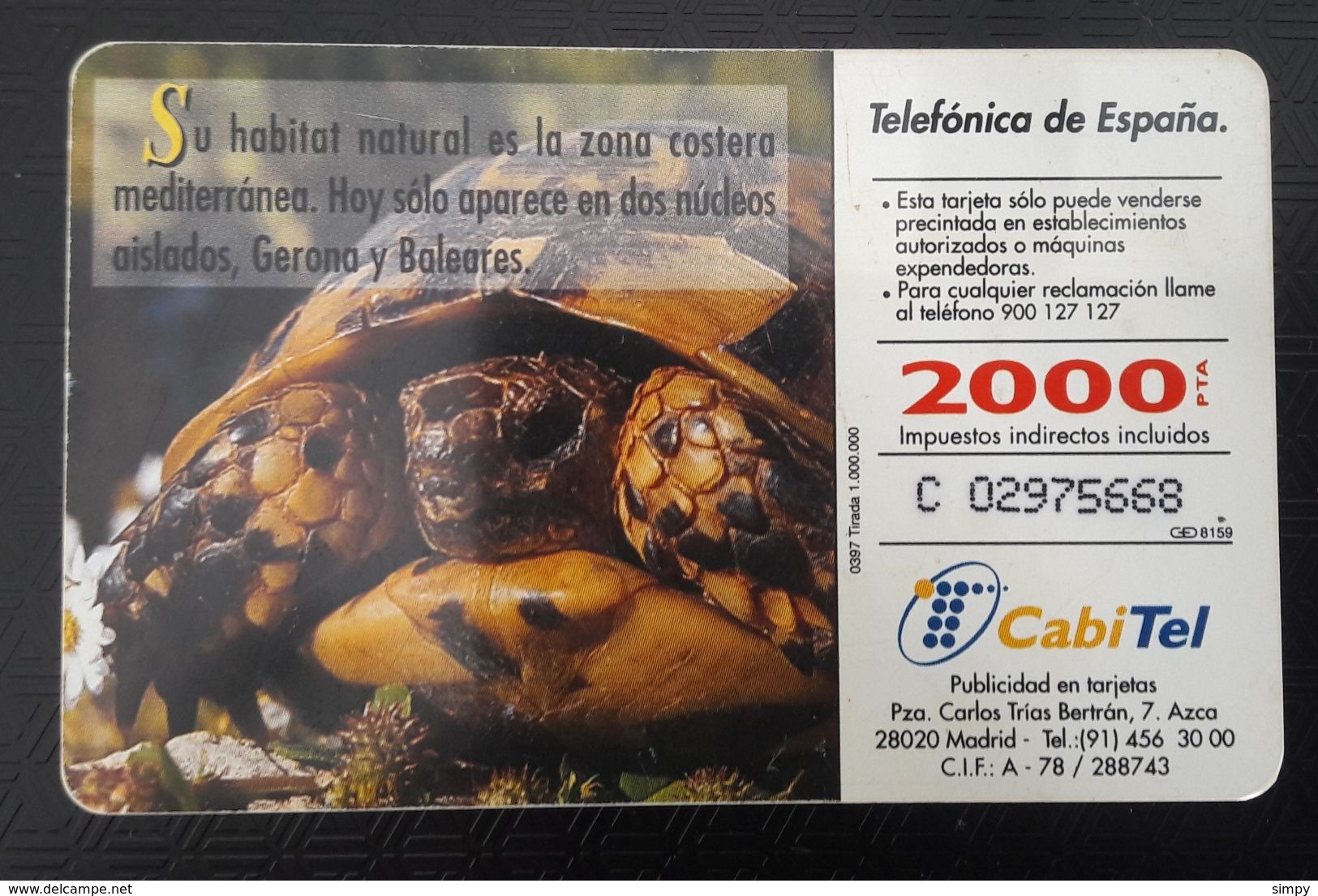 SPAIN Turtles  Chip Phonecard - Turtles