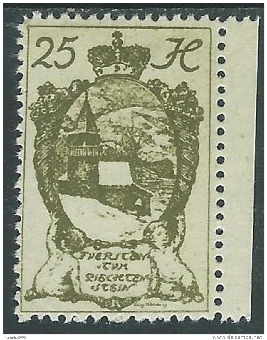 1920 LIECHTENSTEIN CASTELLO VADUZ 25 H VARIETà LETTERA E MH * - R28-9 - Variétés