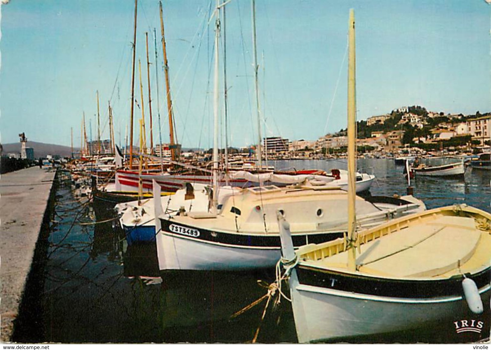 PIE 17-GAN-7551 : LE LAVANDOU - Le Lavandou