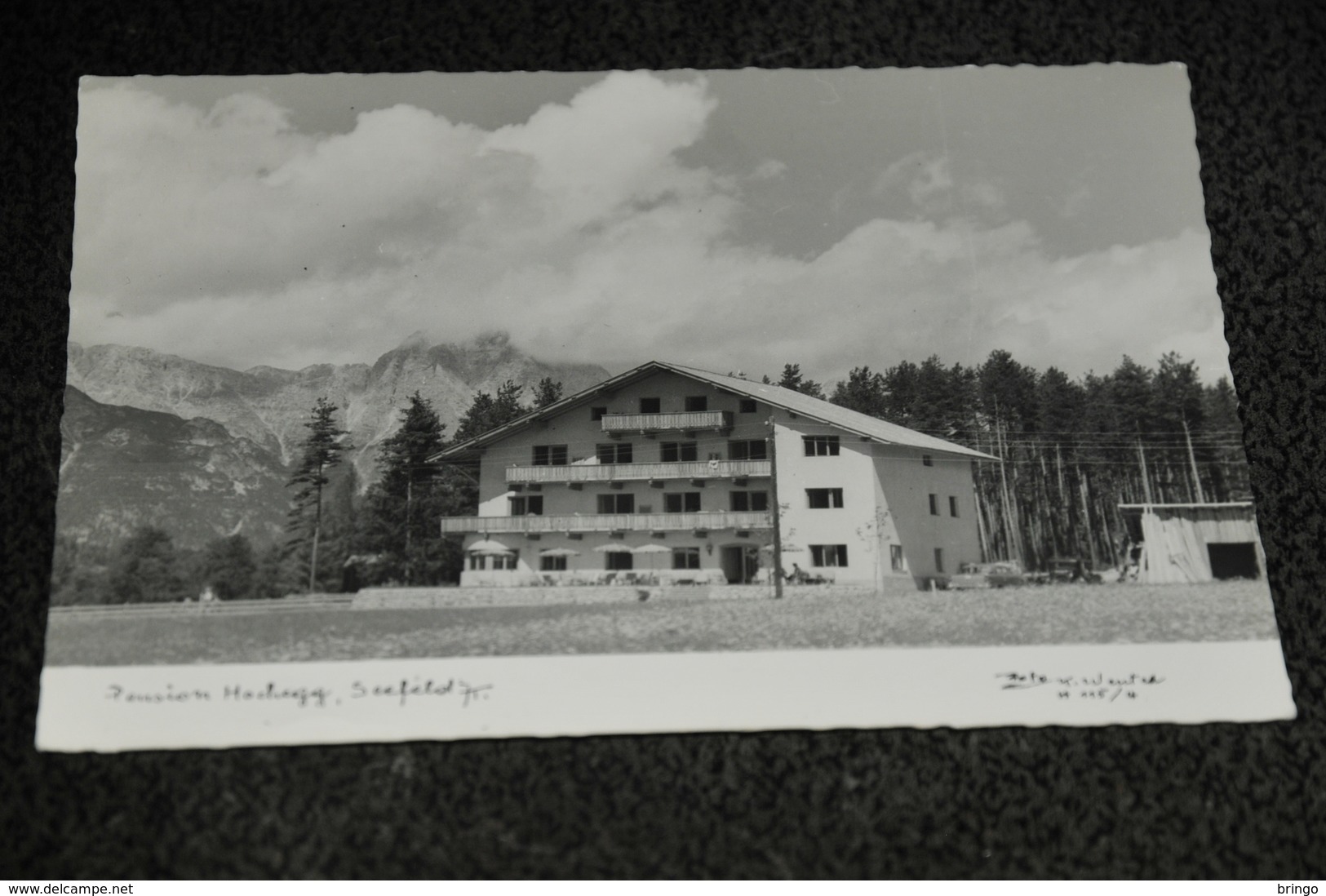 1250- Pension Hochegg, Seefeld - Seefeld