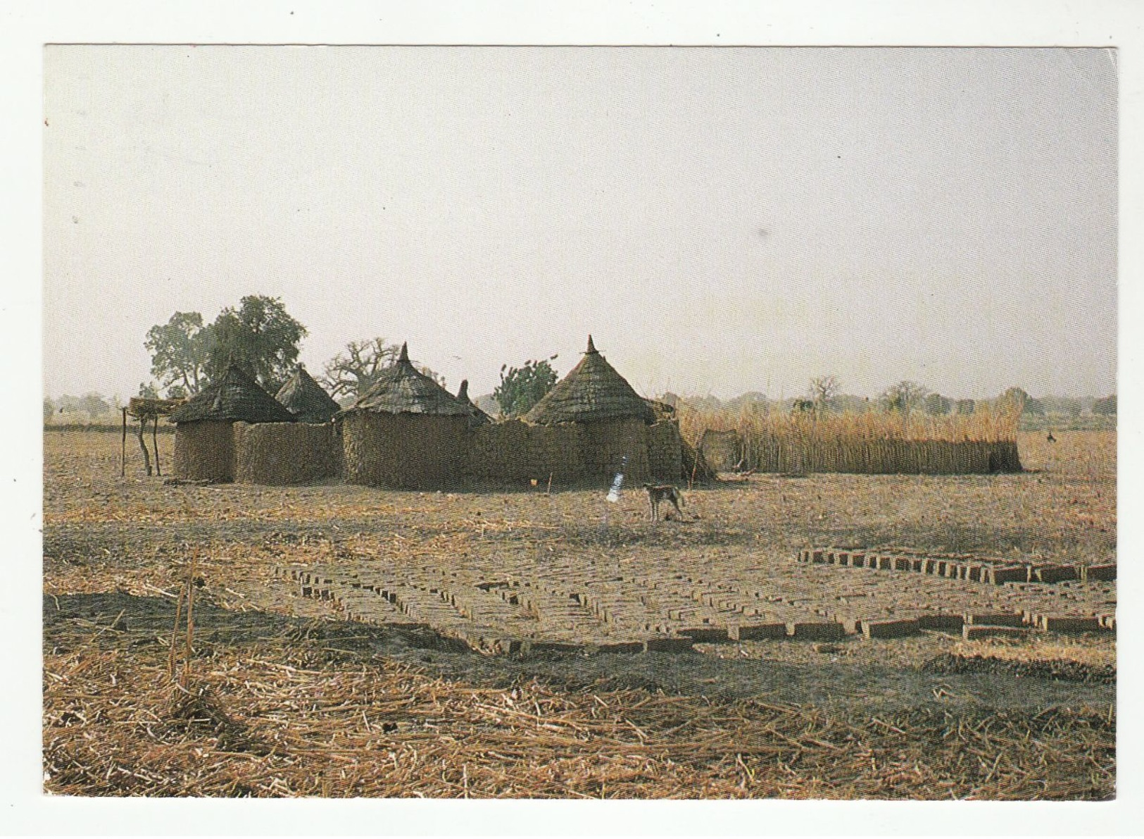 *c* BURKINA FASO - Habitation: La Case En Village Mossi - 2 Scans - Burkina Faso