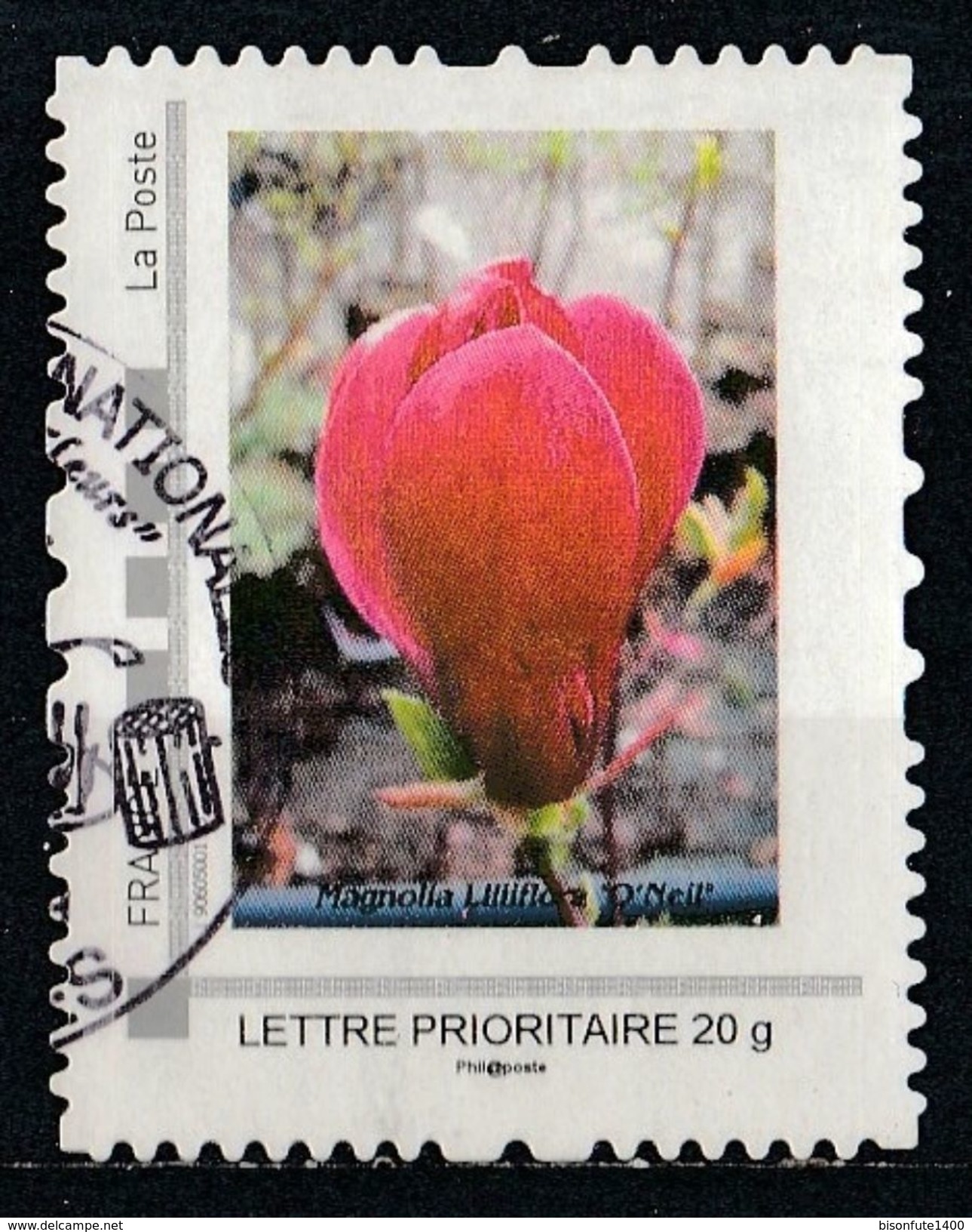 Timbre Personnalisé : Magnolia Lilliflora O'Neil - Altri & Non Classificati