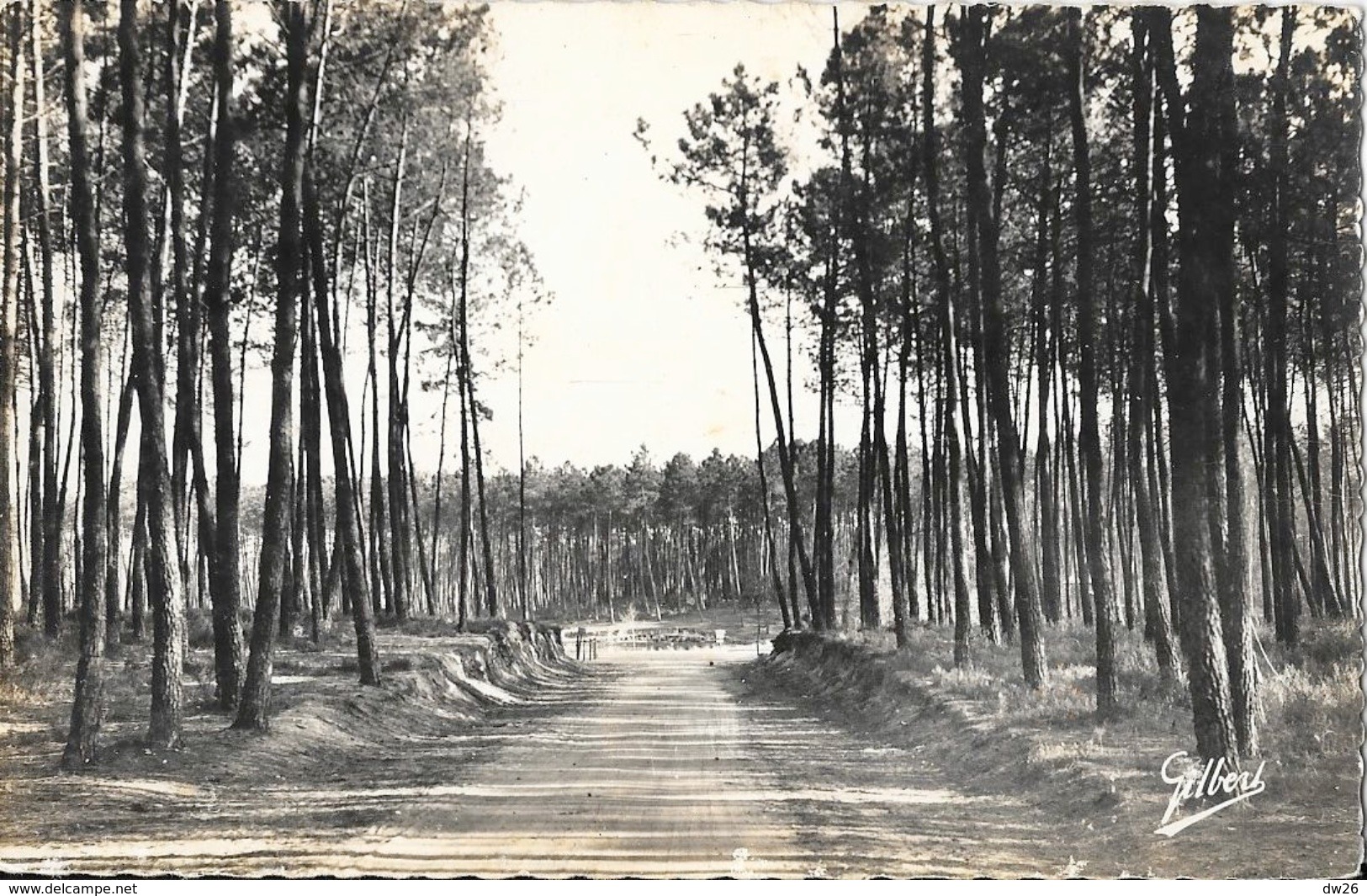 Montendre - Arrivée Au Lac Baron-Desqueyroux Sous Les Pins - Edition D'Art A. Gilbert - Carte Non Circulée - Montendre