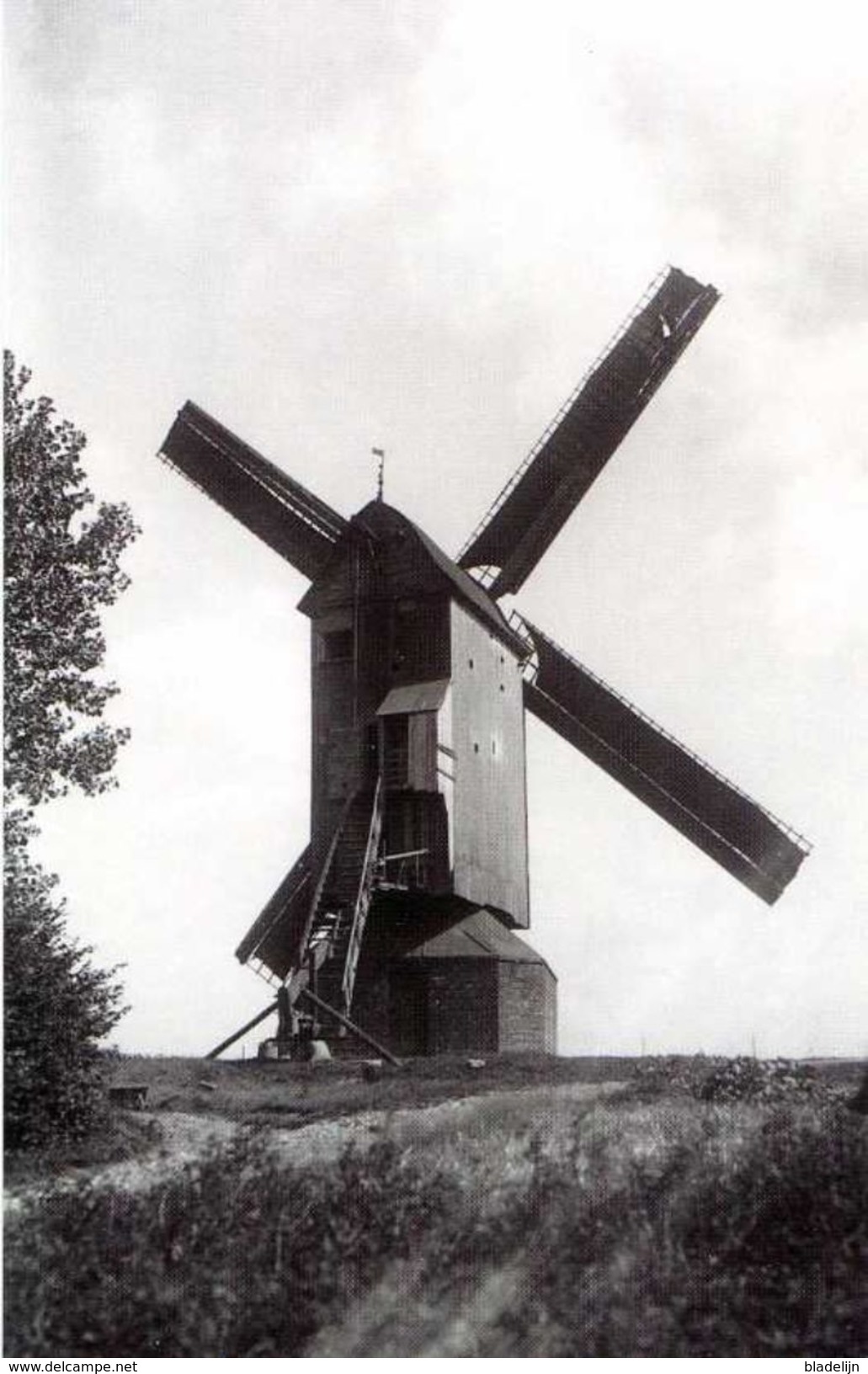 GELUVELD - Zonnebeke (W.Vl.) - Molen/moulin - Fraaie Opname Van De Verdwenen Motebosmolen Of Cichoreimolen In Werking - Zonnebeke