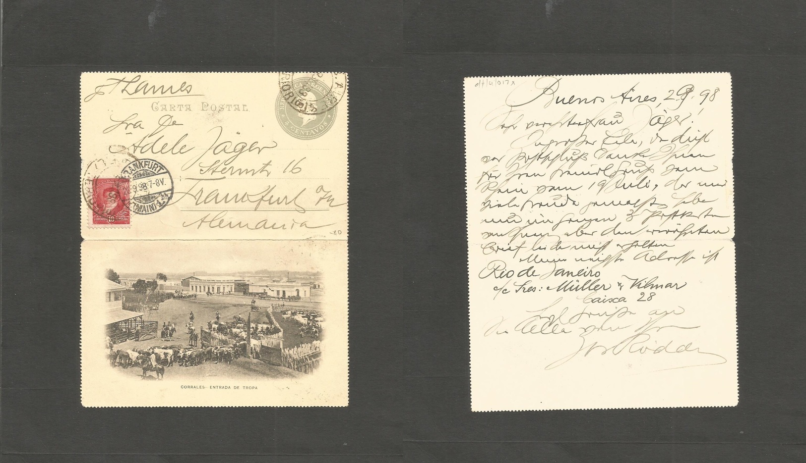 Argentina - Stationery. 1898 (2 Sept) Bs As - Germany, Frankfurt (26 Sept) Rare 4c Grey Stat Lettersheet + Adtl With COR - Autres & Non Classés