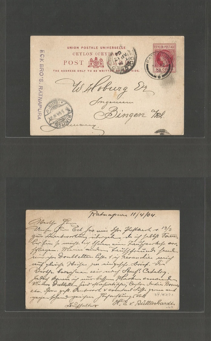 Bc - Ceylon. 1904 (11 April) Ratnapura - Germany, Bingen (1 May) 6c Red Statcard. Fine Used. - Autres & Non Classés