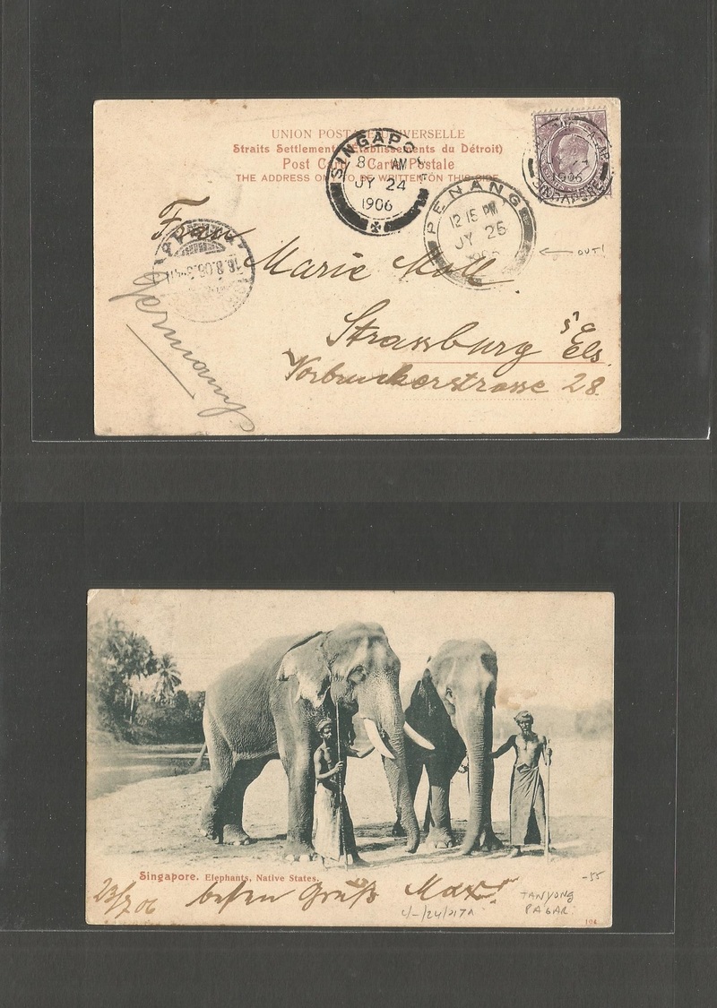 Straits Settlements Singapore. 1906 (July 24) Tanyong Pagar - Strassbourg (16 Aug) Via Singapore - Panama. Elephants Pos - Singapour (1959-...)