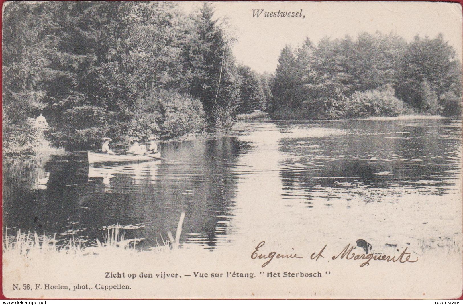 Wuustwezel Wuestwezel Zicht Op Den Vijver Het Sterbosch Kasteel Sterbos (in Zeer Goede Staat) Hoelen Cappellen ZELDZAAM - Wuustwezel