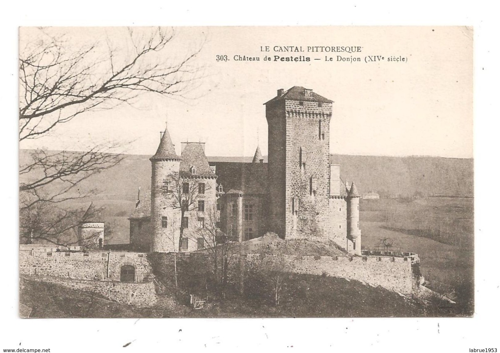 Château De Pesteils-Le Donjon (C.1164) - Other & Unclassified