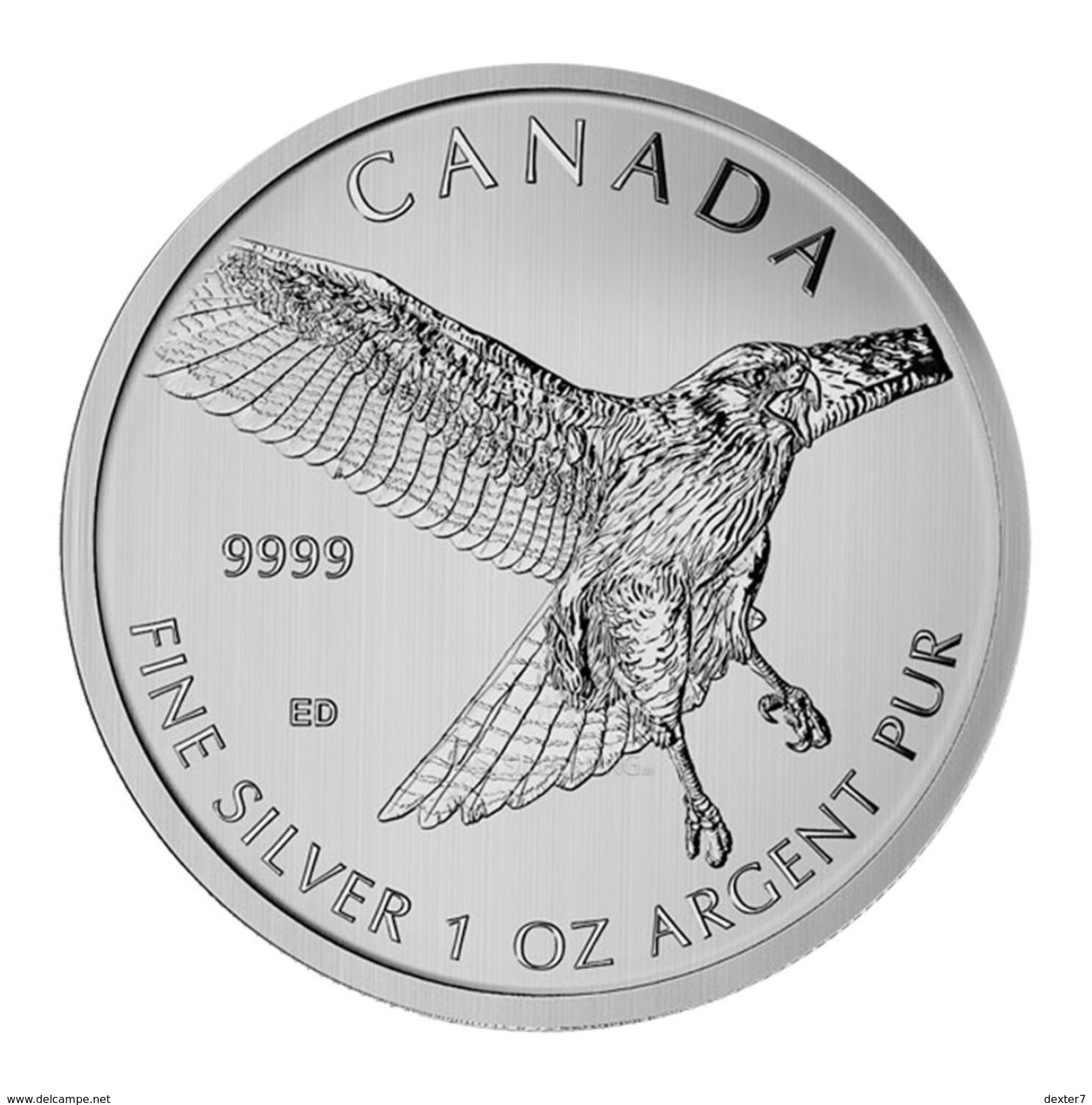 Canada, Red Tailed Hawk 1 Oz 2015 Silver 999 Pure - 1 Oncia Argento Puro Bullion - Canada