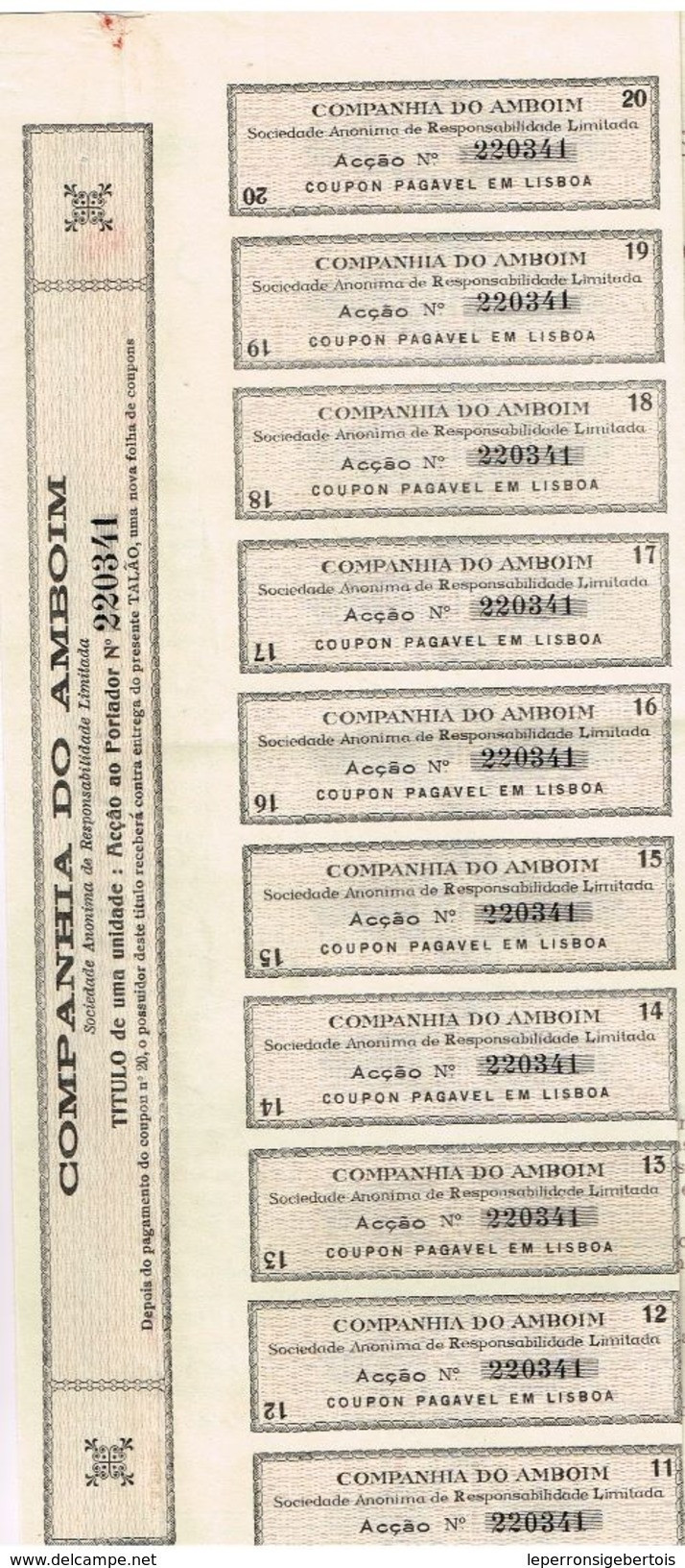 Action Ancienne - Sociedade De Respomsabildade Limitida "Companhia De Amboim" -Titre De 1927 - Angola - Afrique