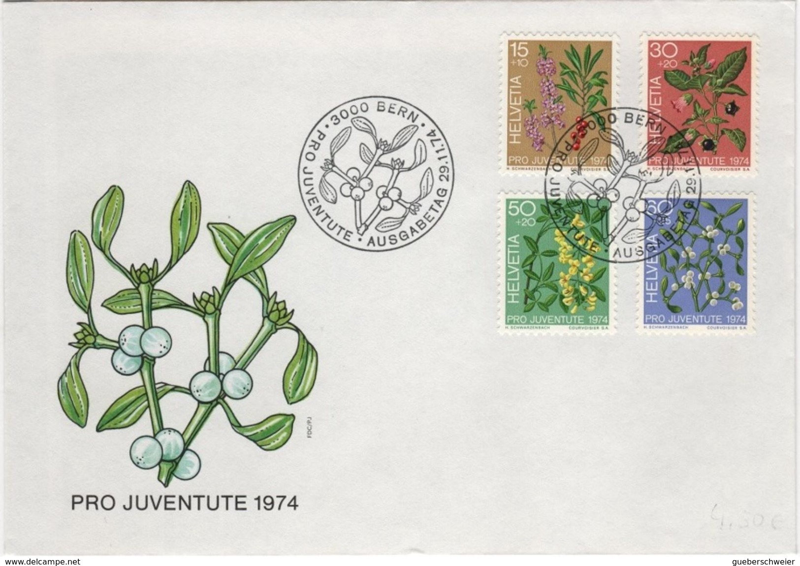 FLOR-L110 - SUISSE Série Pro Juventute 1974 Sur FDC Thème Flore Baies - Covers & Documents