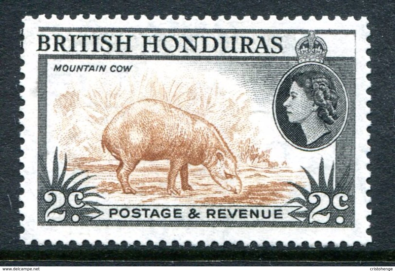 British Honduras 1953-62 QEII Pictorials - 2c Baird's Tapir - P.13½ - LHM (SG 180) - British Honduras (...-1970)